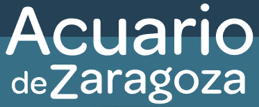Acuario Zaragoza descuento